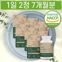 보스웰리아 원물 파는곳 성분 덩어리 원산지 인도 인도산 후기 함량 PX 피엑스 구입 판매처 보수엘리아 보스웰리스 50대 60대 70대 중년 장년 노인 추천 후기 가격 내돈내산