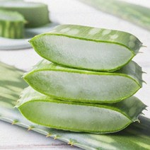 알로에 사포나리아 생잎 3kg, 단품