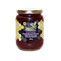 캐나다산 메밀 꿀 500g - BCBUZZ BUCKWHEAT HONEY 500g, 1개