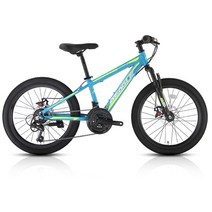 TK 기계식 21단 초등학생 MTB 자전거, 블루, 미조립