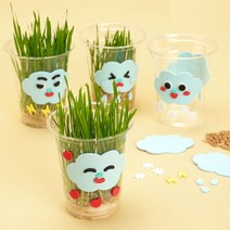 민화샵 밀싹 키우기 키트 (5개 1세트) 새싹 기르기 DIY 식물키우기 새싹기르기 식물재배 밀싹키우기 관찰일지 어린이키우기, 민화 밀싹키우기 (5개1세트)