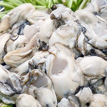 청정바다 통영 싱싱한 가리비 새우고동멍게 등, 1개, 깐 생굴500g