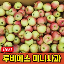 [국내산] 루비에스사과 1kg 미니사과 루비에스미니사과 루비사과 꼬마사과 미니사과루비에스 (20개-27개 내외), 1kg (20-27개 내외)