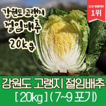 통배추강원도 판매 상품 모음