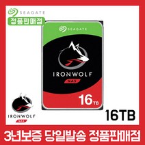 씨게이트 서버용 아이언울프 3.5 HDD, 16TB