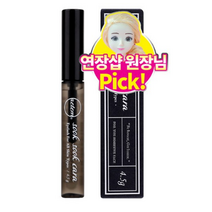 에템 쑥쑥카라 속눈썹 영양제, 4.5g, 1개