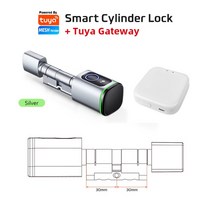 지문자물쇠 안전고리 사물함자물쇠 Tuya-앱 지문 RFID 카드 블루투스 유로 실린더 스마트 도어 잠금 알렉, 01 K1TYS30 30 GA_01 A30B30