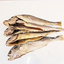 영광법성포 손질 보리굴비 33cm 5미 가정용 비늘제거 내장제거 개별진공 다시팩 녹차가루 증정 가락시장 도매 힘바다 가락금호상회, 1개