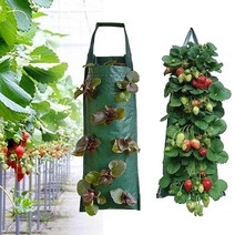 플랜트박스 옥상 베란다 텃밭 야외 화분 화단 벽 걸이 수직 정원 딸기 식물 성장 가방 4 8 pockets planting bags planter pot potato 꽃 5, 8포켓