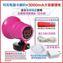 방송음향기기 12V24V노점 장사 자동차 호객소리 차량용 확성기 야외 녹음 물건파는 스피커, T01-리튬 녹음 확성기 220V충전기-ZJCY