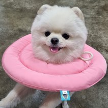 중형견 쿠션 도넛 UFO 고양이 강아지 넥카라 포그니L, 포그니넥카라(PL레몬L)