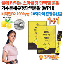 홈쇼핑 WPH 물에 타먹는 고함량 단백질 PROTEIN 더블유피에이치 가수분해 유청 고 단백 프로틴 레몬 워터 10억마리 유산균 운동 전 후 단백질 많은음식 아미노산 분말 가루, 5g 30포 x 2통묶음