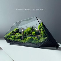비바리움 테라리움 이끼키우기 식물 미니 유리 투명 화분 조경 만들기 다각형, 단일, 33x14x18.5cm(조경미포함)