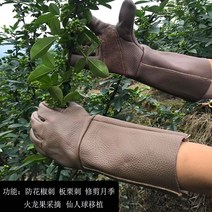 원예 장갑 농사 박나래 원예용품 장미 가드닝 정원 가든, 엑스트라 롱 스타일 프리사이즈