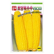 아시아종묘 초당 옥수수 씨앗 종자 100립 생식용 초당옥수수 단옥수수 노랑옥수수