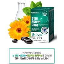 내츄럴플러스 루테인 지아잔틴 더블업 30캡슐 눈건강 항산화 면역력 기능성 식약처 인정, 2박스 (2개월분)