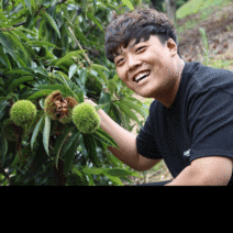 공주정안밤 생밤 햇밤 알밤, 공주 정안밤 대2kg, 1개