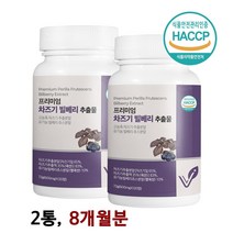 눈엔 루테올린 차즈기 식약처해썹인증 눈영양제 국산 차조기 차지기 자소엽 붉은깻잎 유기농 빌베리 복합식품 프리미엄 차즈기정 추천