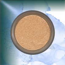 아이오페 [리필] 에어쿠션® 내추럴 15g, x301-23W Warm Beige (Natural／R, 1개