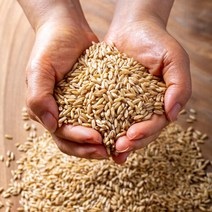 캐나다산 잡곡 귀리 귀리쌀 1kg