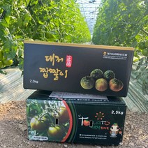 (강력추천) 명품 대저 토마토 짭짤이토마토, 1박스, 2.5kg, 03) 대저토마토 2.5kg (M-S사이즈)