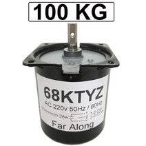 교류모터 높은 토크 100kg 28w ac 220v 영구 자석 동기 220v cwccw, 06 30rpm 11kgf.cm