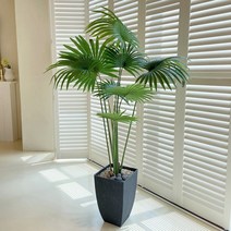 [쏘굿] 이국적인 종려 조화나무, 1. 종려나무 140cm