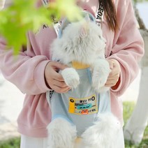 고양이파우치 외출 백밴딩 산책 반려동물 양줄백팩 하드캐리어 냥이, T02-해바리기 기능 고양이 등 파랑