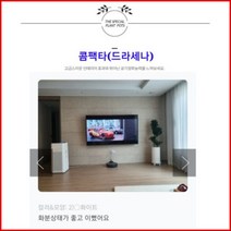 없음 [반값화분] MAIN-대형콤팩타130(드라세나) 직접배송 축하화분 개업화분 거실화분 카페화분 인테리어화분 아레카야자 극락조 알로카시아 파키라 고무나무, 방문분갈이