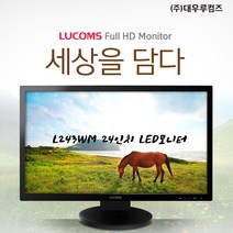 중고 24인치 루컴즈 L243WM LED 인강 업무용 듀얼모니터, 22인치 LED중소기업