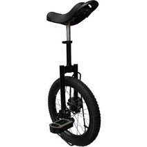 입문용 외발자전거경량 초보용 온리원 자전거 12 14 16 인치, F 16 인치