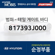 현대모비스 범퍼테일 게이트바디 사이드 가이드 (817393J000)
