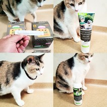 필루 강아지 고양이 진드기약 외부기생충 해충방지 스팟온 목걸이 로션 스프레이 샴푸, 겸용 해충방지 로션 스프레이 250ml