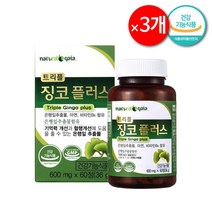 기억력 두뇌 건강 은행잎추출물 60정(2개월분) 600mg 슈타인 징코 알파 브레인 플러스, 60정×3개