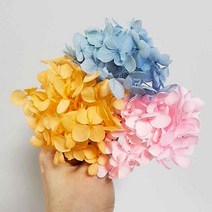 수국 안나수국 프리저브드수국 드라이플라워 프리저브드플라워 말린꽃 프리저브드 인테리어 꽃소품, 5g, 연블루