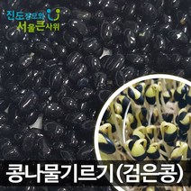 22년 방금수확한 햇콩 콩나물콩 1kg 집에서 키우기 검은콩 발아율 좋은 국산 진도장모와 서울큰사위, 1개