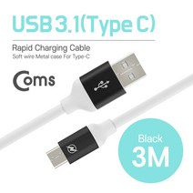 C타입 고속충전케이블 LG V20 V30 G6 G7 갤럭시노트8 갤럭시s8 갤럭시S9 고속충전잭 3m, 블랙 3m