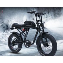 바퀴큰자전거 오프로드 빈티지자전거 로드자전거 로드 성인자전거 출퇴근 산악 MTB, 48V, 13AH, R. RX표준(블랙)