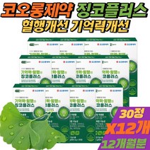 (비타민C증정) 식약처인증 혈행개선 영양제 은행잎 추출물 징코 빌로바 중년 여성 손발저림 플라보놀배당체 [휘게바이에이치], 12개(+비타민C)