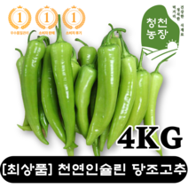 [최상품][당일출고] 혈당조절에 좋은 당조고추 4KG 싱싱한 당뇨고추 당고추 천연인슐린 당뇨에 좋은 고추 야채 당뇨 혈당 케어 당초고추 미인고추 모악산 GREEN PEPPER