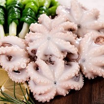국내산 활 쭈꾸미 당일조업 생물 알배기 주꾸미 1kg 2kg, 활 쭈꾸미 2kg