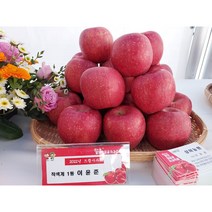 5KG 삼이농원 밀양 얼음골 사과 (산지직송), 5KG16-17(중과)