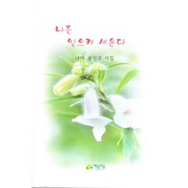 나를 일으켜 세운다:나여 송인규 시집, 예술의숲