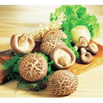 고향 처가 친지방문 표고버섯선물세트 효도선물 명품