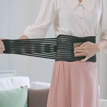 비엔에스 BNS 허리파워 허리보호대 1세트, 1개