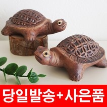 거북이식용꽃 TOP 가격 비교