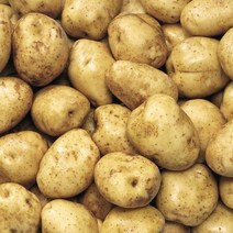 오병이어농산 햇감자 하지감자, 1개, 하지감자 5kg(중)