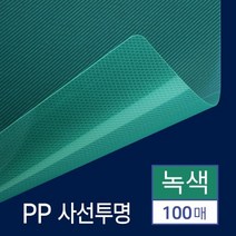 제본 PP 비닐표지 사선투명 녹색 B5 100매 서류정리, 상세페이지참조
