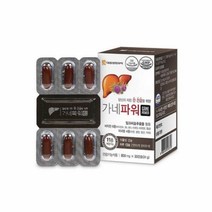 대웅 가네파워 지방간영양제 남성피로회복제 간관리간영양제