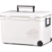 캠핑 아이스박스, 화이트, 22L